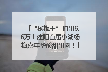 “杨梅王”拍出6.6万！建阳首届小湖杨梅嘉年华酸甜出圈！